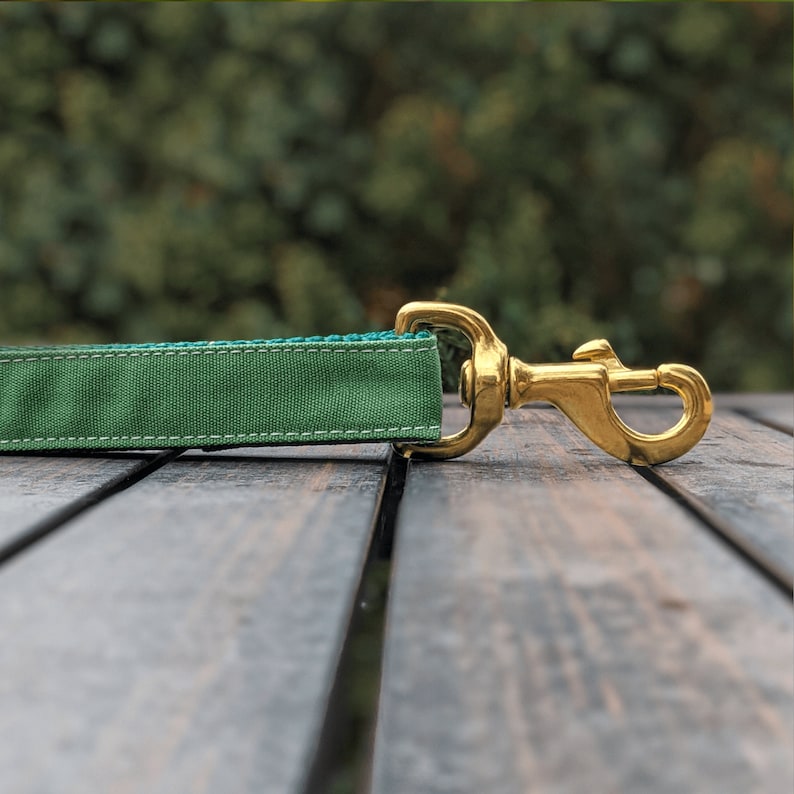 Comes with Rescue VIDEO Green Martingale and Leash set Gold Chain See Description