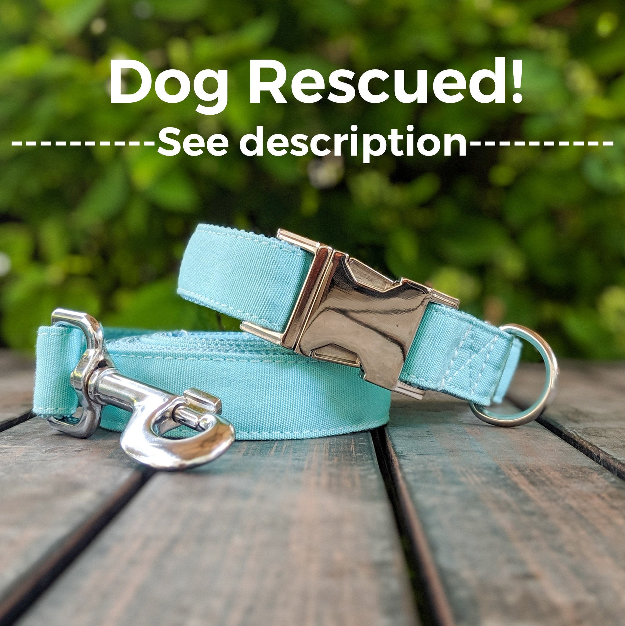 aqua dog collar