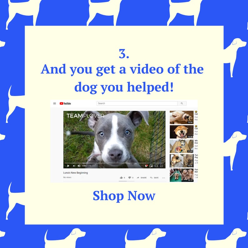 Comes with Rescue VIDEO Green Martingale and Leash set Gold Chain See Description