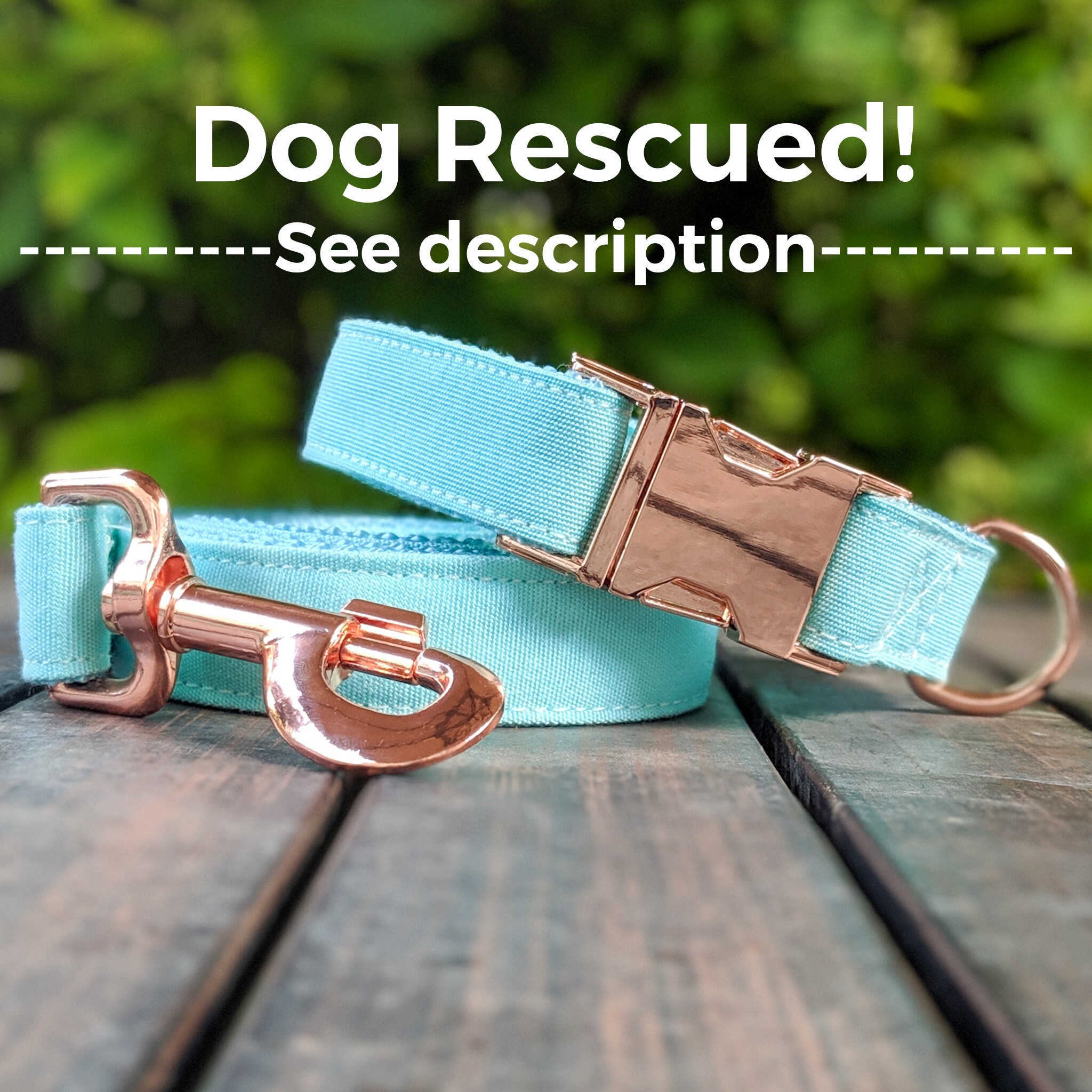 rose gold leash