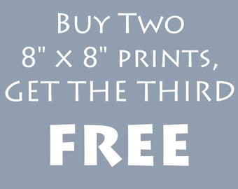 Special Offer:  Buy Two 8" by 8" Prints, Get The Third One Free