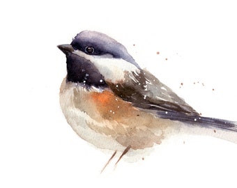 Chickadee Bird Print, Watercolor Bird, Animal Art