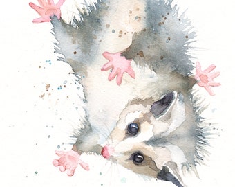Baby Possum Etsy