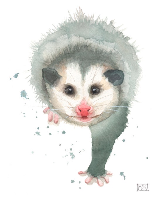 A Passel of Possums, possum love, fun, psychedelic Art Print for