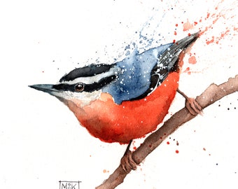 Nuthatch Print, Watercolor Bird Print, Red-Breasted, Nuthatch Print , Bird Lover's Gift, Bird Print 6 x 6 inches, Wildlife Decor