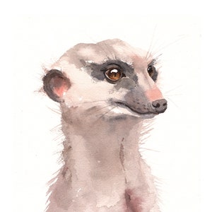 MEERKAT PRINT, Peekaboo Nursery Animal Watercolor, Meerkat Art Print, 8 x 10 Giclee, Meerkat Lover Gift, Watercolor Nursery Print