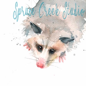 Opossum Watercolor Art Print, Cute Possum Art, Opossum Giclee, Funny Opossum, Gift for Opossum Lover, Possum Love, Watercolor Animal Print