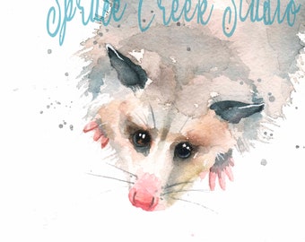 Opossum Watercolor Art Print, Cute Possum Art, Opossum Giclee, Funny Opossum, Gift for Opossum Lover, Possum Love, Watercolor Animal Print