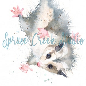 Baby Possum Print, Cute Opossum Hanging From Branch Print, Baby Shower Gift, Animal Lovers Gift