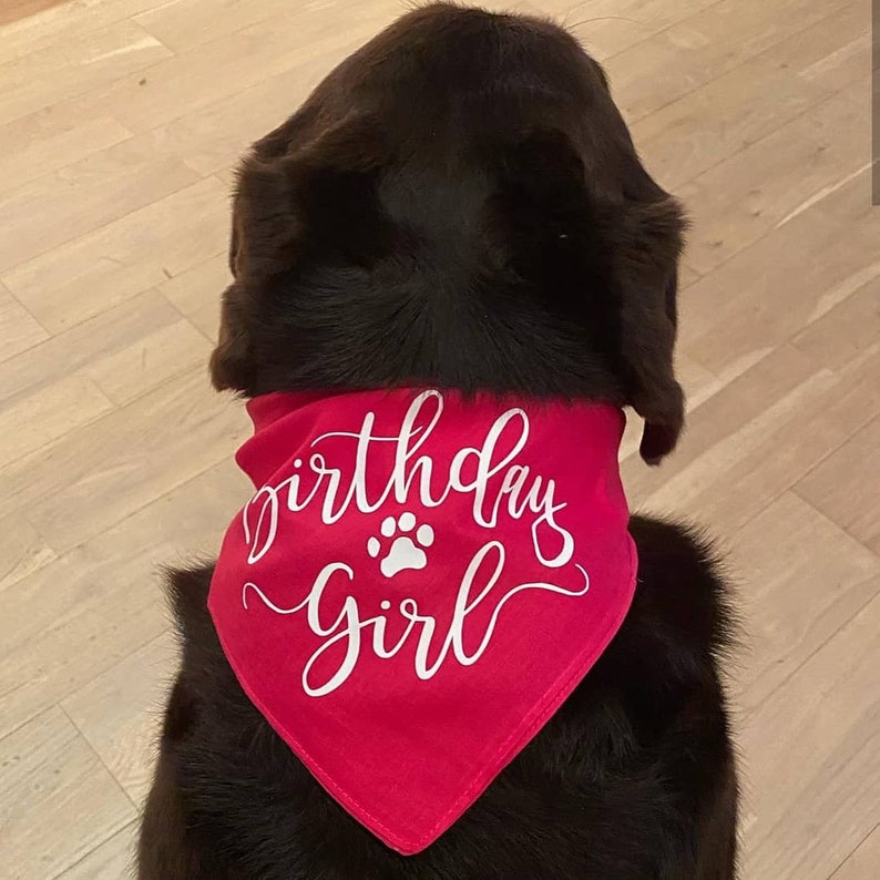 Cute Dog Bandana For Birthday Happy Birthday Bandana For Etsy Cute Dog Bandana For Birthday Happy Birthday Bandana For Etsy