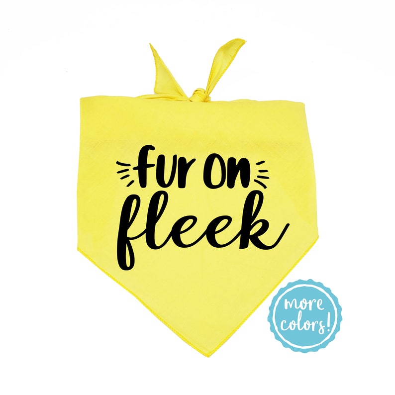 Funny Fur on Fleek Dog Bandana Dog Scarf Cute Dog Bandana