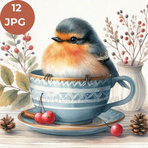 Pacchetto di clipart di uccelli in tazza da tè, uccelli primaverili acquerellati, clipart di tazze da tè floreali, set di clipart primaverili, illustrazioni digitali ad acquerello