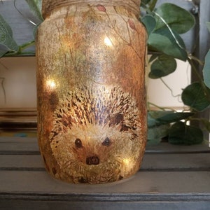 Hedgehog Light Jar. Decoupaged recycled jar. Perfect gift for Hedgehog fans. British wildlife conservation. Firefly Lantern Hedgehug Hoglet image 5