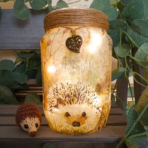 Hedgehog Light Jar. Decoupaged recycled jar. Perfect gift for Hedgehog fans. British wildlife conservation. Firefly Lantern Hedgehug Hoglet image 3