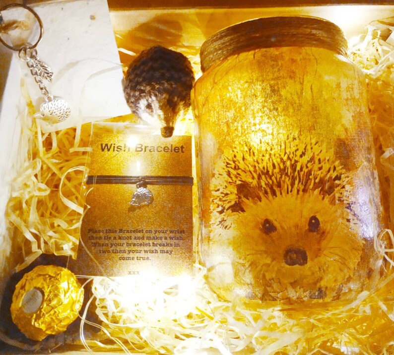 Hedgehog Light Jar. Decoupaged recycled jar. Perfect gift for Hedgehog fans. British wildlife conservation. Firefly Lantern Hedgehug Hoglet image 8