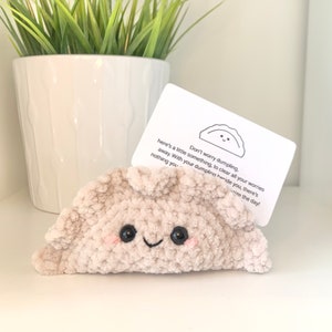 Don’t Worry Dumpling | Crochet Worry Anxiety Plushie | Amigurumi Food Animal Plushie Soft Toy