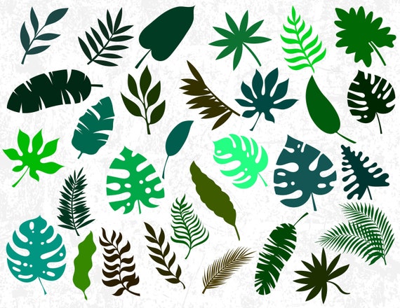 Download 30 Tropical Leaves Silhouettes Tropical Leaves Svg Cut Files Etsy