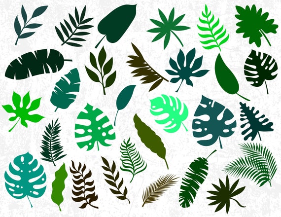Download 30 Tropical Leaves Silhouettes Tropical Leaves SVG Cut ...