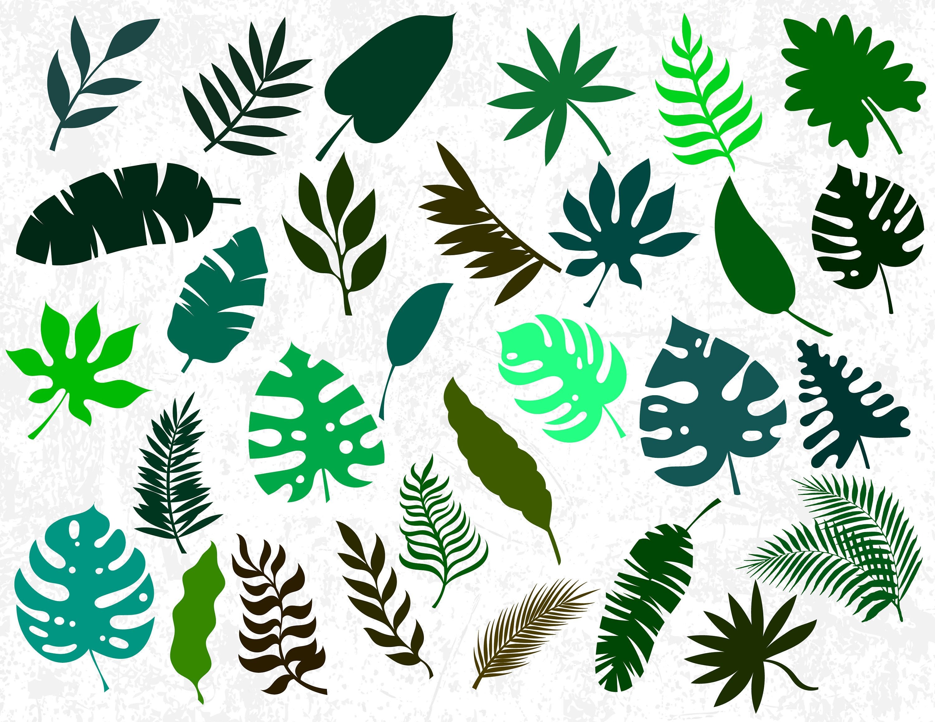 Download 30 Tropical Leaves Silhouettes Tropical Leaves SVG Cut ...