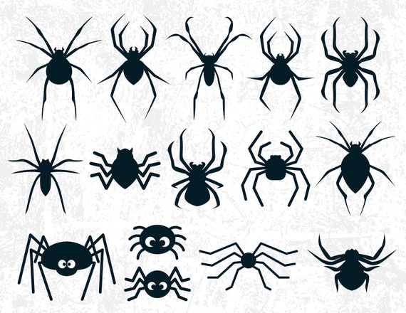 Spiders and Spider Web SVG Files for Silhouette Cameo and 