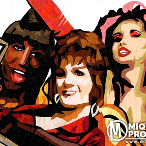 Vida, Noxeema & Chi-Chi, To Wong Foo, Thanks for everything. Julie Newmar fan art-collage paper mosaic image 5