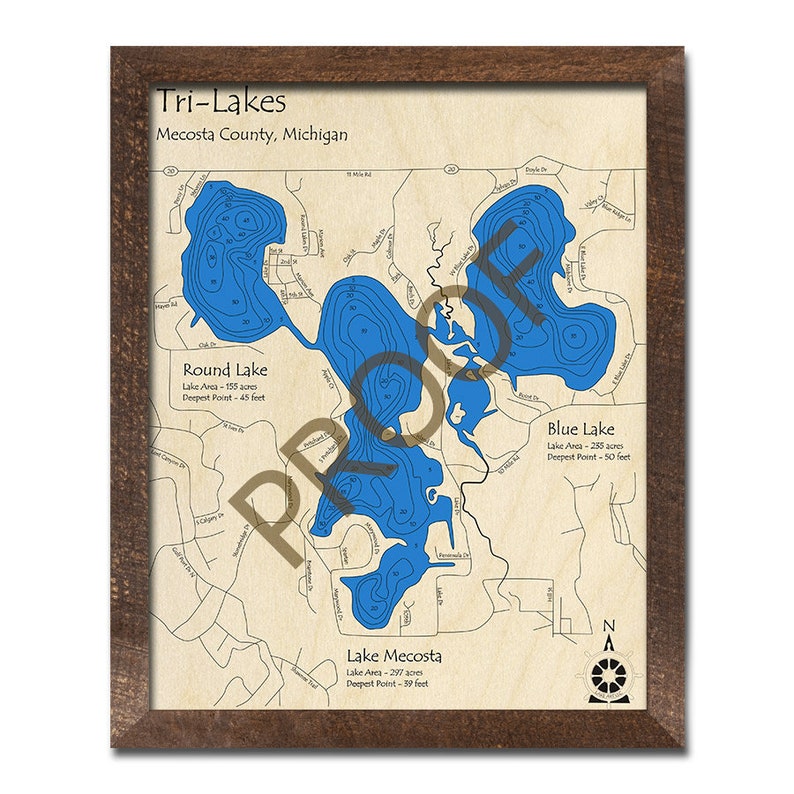 Round Lake Lake Mecosta Blue Lake MI 3D Wood Carved Map Etsy
