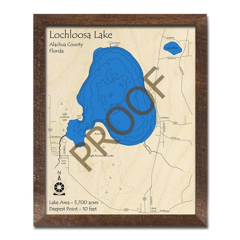 Lochloosa Lake FL 3D Map Custom Nautical Map Unique Cabin Etsy
