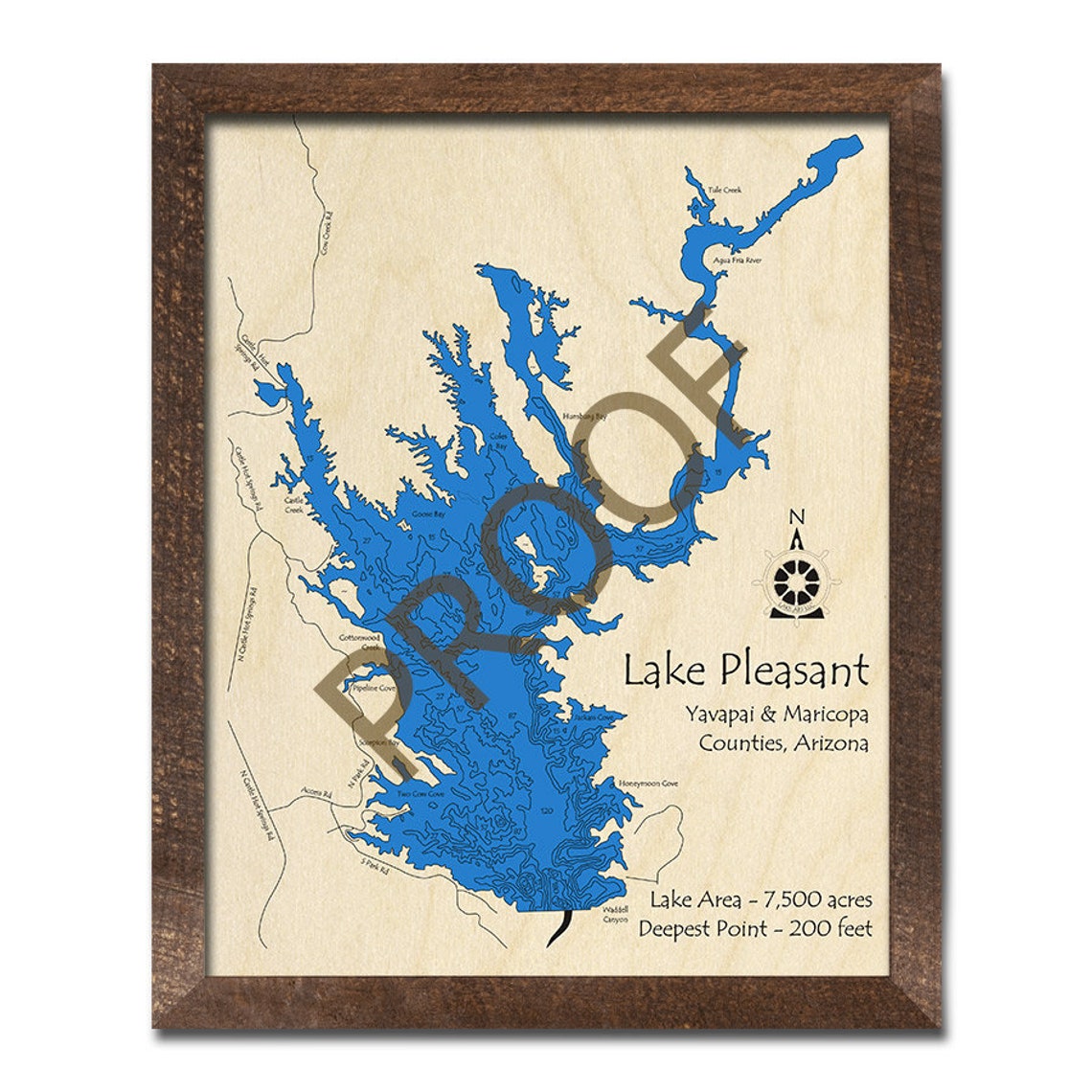 Lake Pleasant AZ 3D Wood Map 3D Depth Map Cabin Decor Etsy