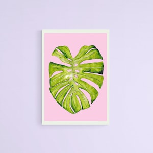 Monstera Leaf House Plant Cheese Plant Pink Watercolour Print
