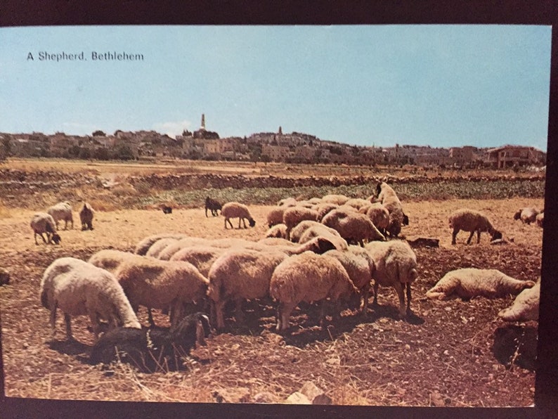 Travel Souvenir Postcards From Jerusalem Israel Amad Three Post Cards By I