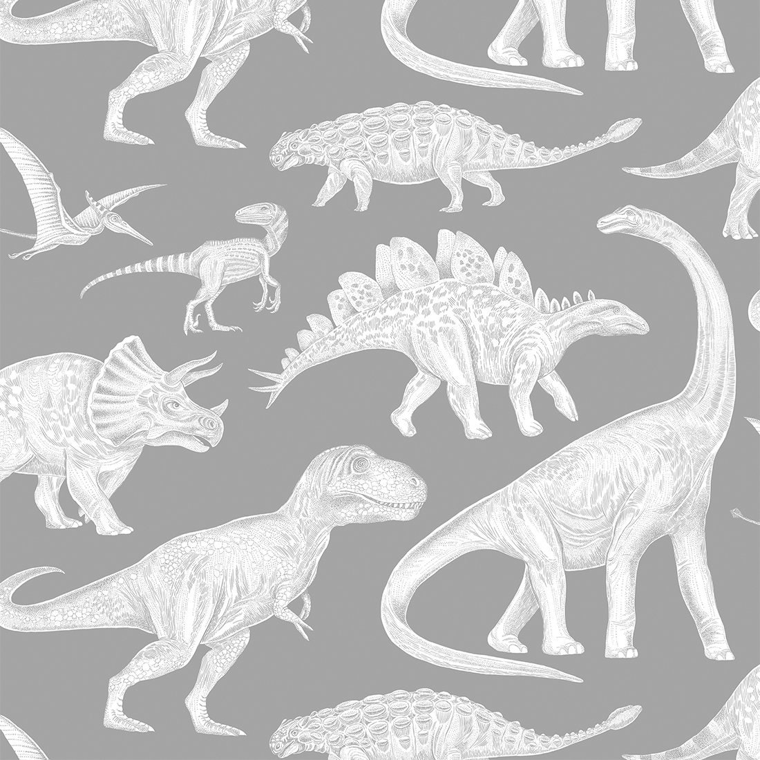 Dinosaur Wallpaper Dinosaur Wall Mural SAMPLE Etsy
