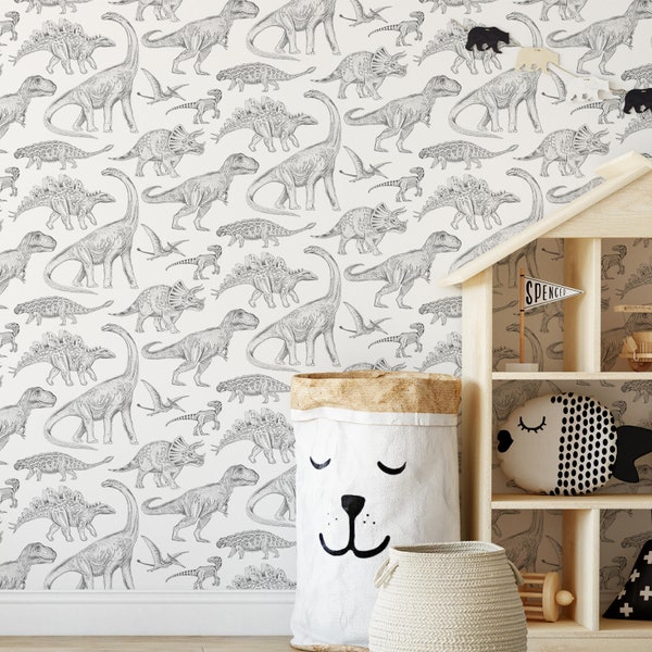 Dinosaur Wallpaper - Jurassic Wallpaper - Fun Dinosaur Nursery Decor
