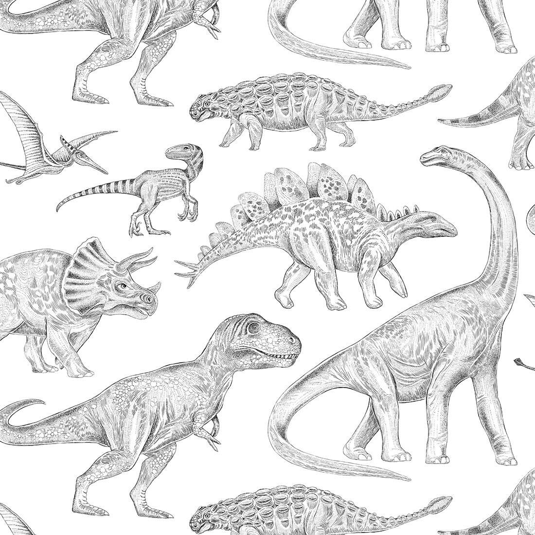 Dinosaur Wallpaper Dinosaur Wall Mural SAMPLE Etsy