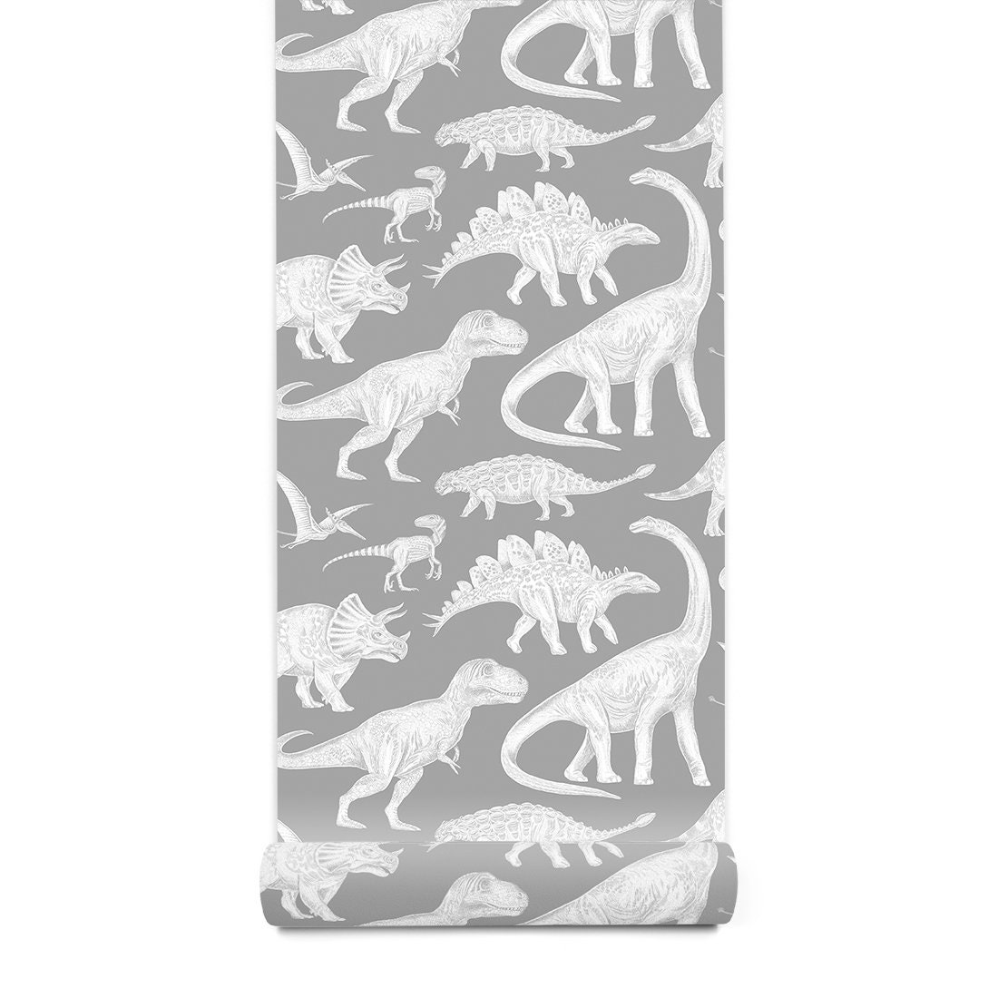Dinosaur Wallpaper Dinosaur Wall Mural SAMPLE Etsy