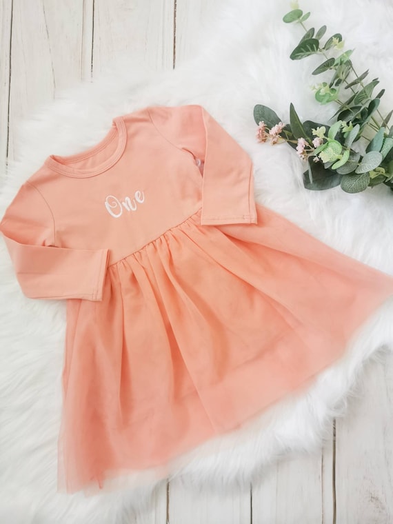 Embroidered one long sleeve tutu dress baby girl cake smash outfit  first birthday girls party dress pink 1st gift present