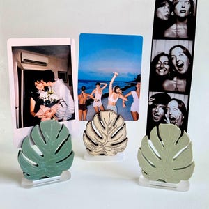 Porte-photos en forme de feuille, support pour photo végétal, décoration végétale, support pour impression d'art, porte-cartes, porte-notes, cadeau photo, support Instax, cadeau pour amateur de plantes Monstera