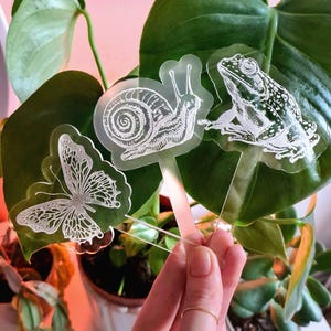 Pode incluir: Três marcadores de plantas de acrílico transparente com imagens gravadas de uma borboleta, um caracol e um sapo. Os marcadores são segurados na mão contra um fundo verde de folhas.