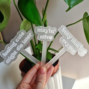 Funny Plant Quote Stakes Acrylic House Plant Decor Plant Pot Accessory Plant Lover Gift  Succulent Garden Sign Plant Stand Plant Shelf Gift