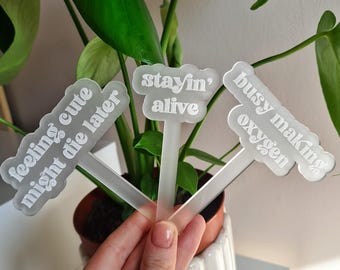 Piquets à plantes humoristiques en acrylique, décoration pour plantes d'intérieur, accessoire pour pots de fleurs, cadeau pour amoureux des plantes, panneau pour jardin de succulentes, support pour plantes, étagère à plantes