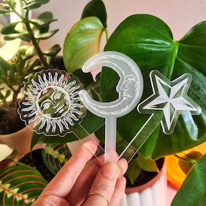 Könnte beinhalten: Drei transparente Pflanzenstecker aus Acryl mit Himmelsmotiven: eine Sonne, ein Mond mit Gesicht und ein Stern. Die Stecker werden vor üppigen grünen Pflanzen gehalten und verleihen den Innenräumen eine dekorative und skurrile Note.