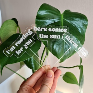 Funny Plant Stakes Acrylic Plant Stick House Plant Decor Plant Pot Accessory Plant Lover Gift  Succulent Garden Sign Plant Stand Plant Shelf