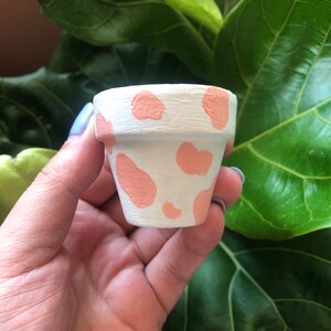 2” pink cow print terracotta pot hand painted with drainage hole