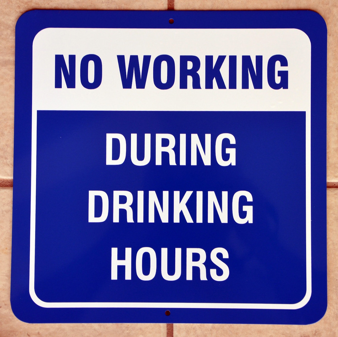 NO WORKING During Drinking Hours Novelty Sign Free Priority Etsy