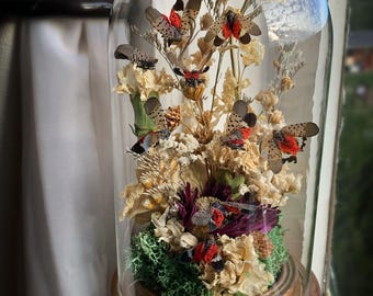 Lanternfly Glass Dome Display, Real Insect Art, Botanical Arrangement, Nature-Inspired Decor, Entomology Curiosity Piece, Unique Oddity Art