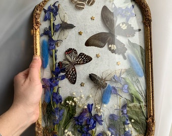 Antique Ornate Frame, Brass Bubble Glass Frames, Real Cicadas and Butterflies, Dried Flowers with Insects, Oddity Wall Art and Decor