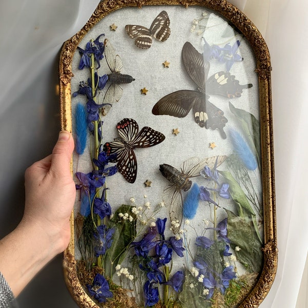 Antique Ornate Frame, Brass Bubble Glass Frames, Real Cicadas and Butterflies, Dried Flowers with Insects, Oddity Wall Art and Decor