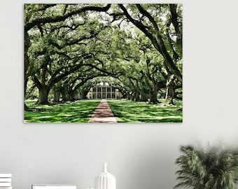 Southern Elegance in Art: Oak Alley Plantation Wall Decor - New Orleans Charm for Your Walls