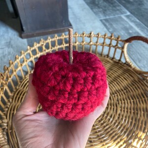 Teacher Appreciation Gift, Farmhouse Crochet Apple, Crochet Apple, Back to School Teacher Gift image 7