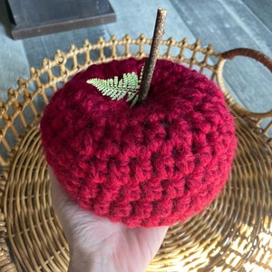 Teacher Appreciation Gift, Farmhouse Crochet Apple, Crochet Apple, Back to School Teacher Gift image 8