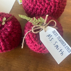 Teacher Appreciation Gift, Farmhouse Crochet Apple, Crochet Apple, Back to School Teacher Gift image 5